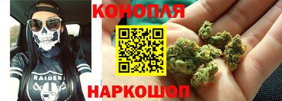 гидропоника Краснознаменск