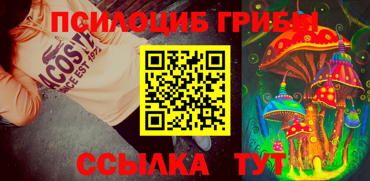 Псилоцибиновые грибы ЛСД Щёлково