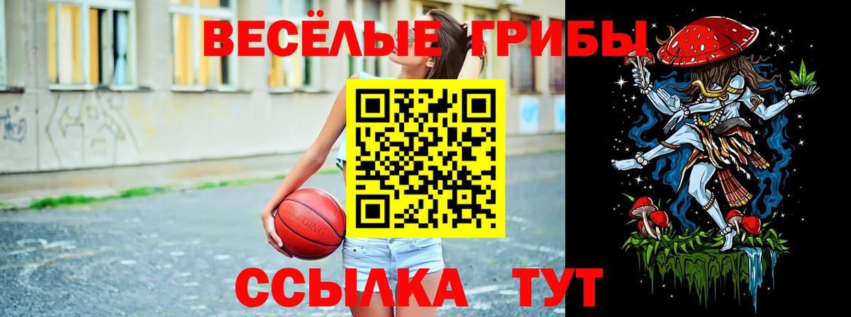 Щёлково  Псилоцибиновые грибы Psilocybine cubensis  Вход с VPN 